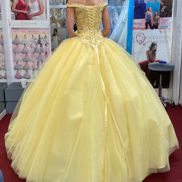 Belle Gown - Picture 1 of 6